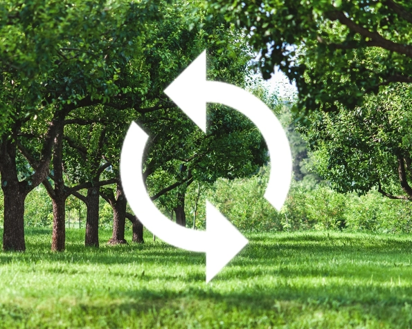 energy reduction and recycling