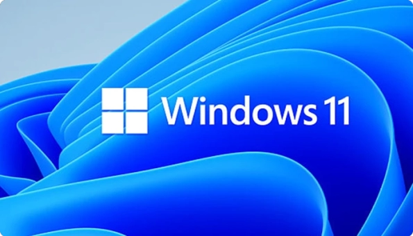 windows 11 home versus Pro